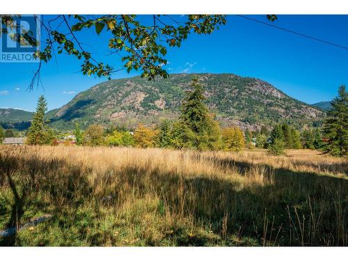 738 Meadowlark Lane, Castlegar, BC - Outdoor With View