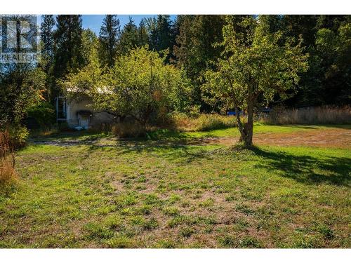 738 Meadowlark Lane, Castlegar, BC - Outdoor