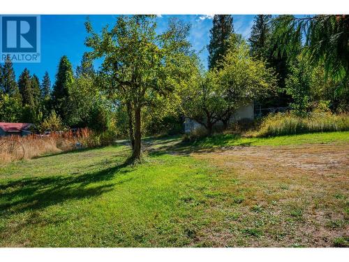 738 Meadowlark Lane, Castlegar, BC - Outdoor