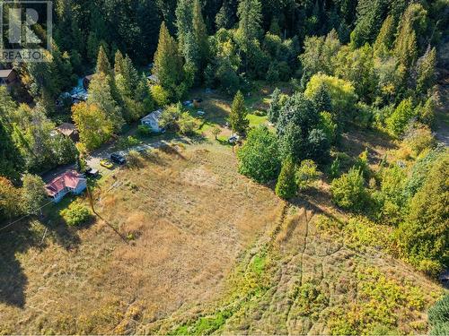 738 Meadowlark Lane, Castlegar, BC - Outdoor With View