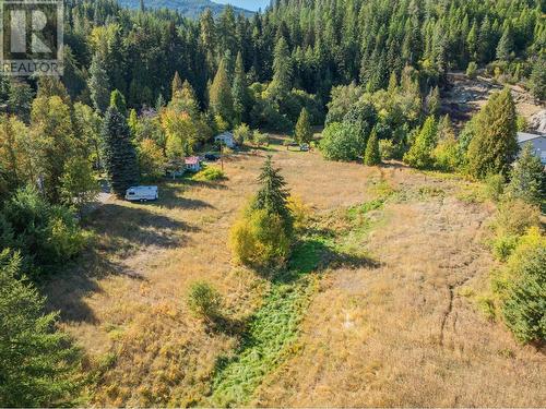 738 Meadowlark Lane, Castlegar, BC - Outdoor With View