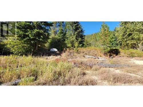 5378 Broadwater Road, Castlegar, BC 