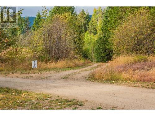 2396 Nault  Road, Castlegar, BC - Outdoor With View