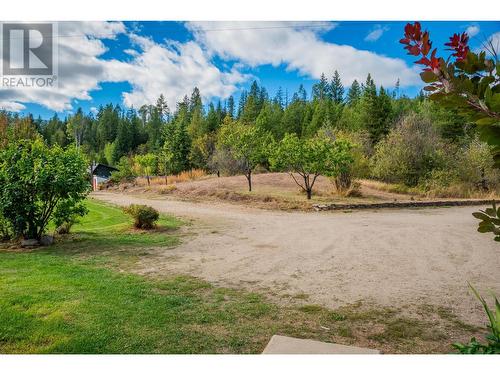 2396 Nault  Road, Castlegar, BC - Outdoor With View