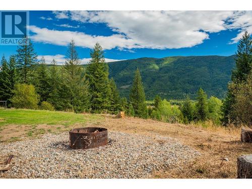 2396 Nault  Road, Castlegar, BC - Outdoor With View