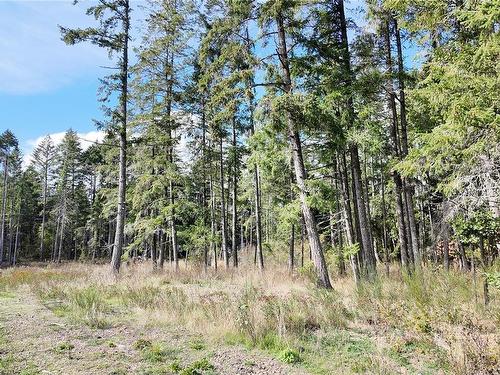 Lot 4 Wildwood Dr, Duncan, BC 