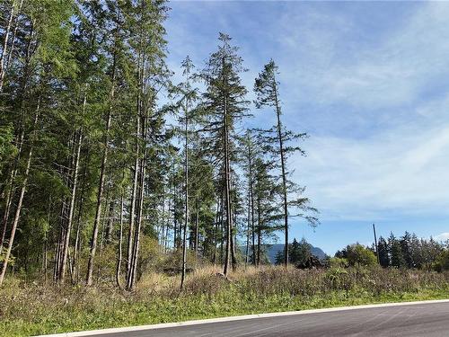 Lot 5 Wildwood Dr, Duncan, BC 