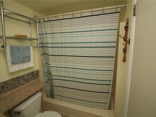 303-9942 Daniel St, Chemainus, BC - Indoor Photo Showing Bathroom