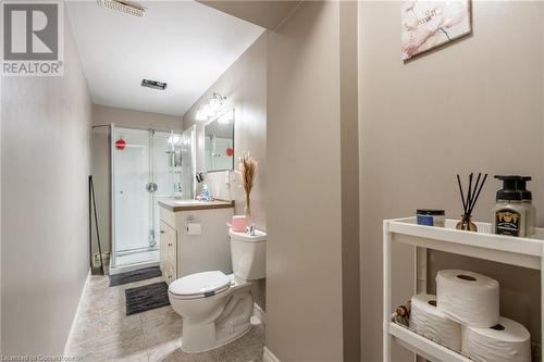 10 Brantdale Avenue, Hamilton, ON - Indoor Photo Showing Bathroom