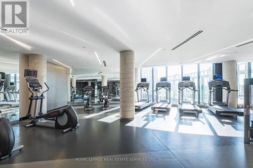 1802 - 49 East Liberty Street, Toronto, ON - Indoor Photo Showing Gym Room