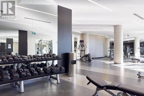 1802 - 49 East Liberty Street, Toronto, ON - Indoor Photo Showing Gym Room