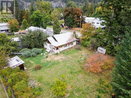 713 Arthur Street, Slocan, BC - Outdoor