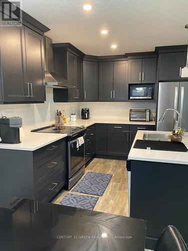 1060 Meadowlark Ridge Drive, London, ON - Indoor Photo Showing Kitchen With Double Sink With Upgraded Kitchen