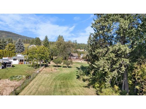 3733 Highway 3, Erickson, BC - Outdoor With View