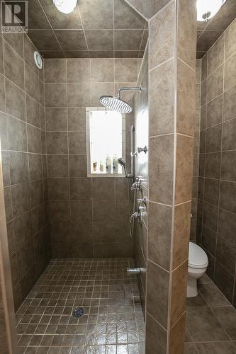 533 Lake St, Sault Ste. Marie, ON - Indoor Photo Showing Bathroom