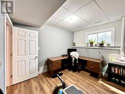 Office/Bedroom 5 - Lower Level - 