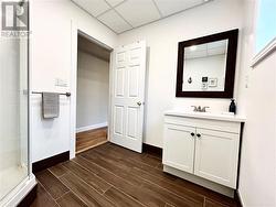 Bathroom - Lower Level - 