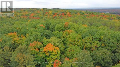 50 Hawthorne Crescent S, Barrie, ON - Outdoor With View