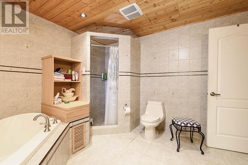 6492 Wasa Lake Park Drive, Wasa, BC - Indoor Photo Showing Bathroom