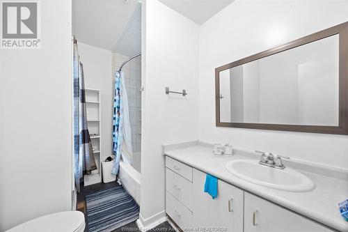 193-195 Janette Avenue, Windsor, ON - Indoor Photo Showing Bathroom