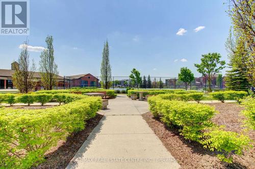 117 - 35 Via Rosedale, Brampton, ON - Outdoor