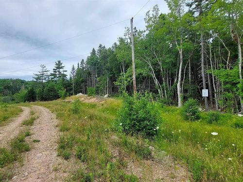 Lot 1G Marble Mountain Rd, Malagawatch, NS 