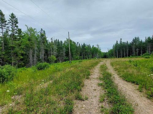 Lot 1G Marble Mountain Rd, Malagawatch, NS 