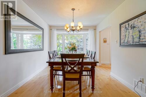 31 Ringwood Crescent, Toronto, ON - Indoor Photo Showing Dining Room