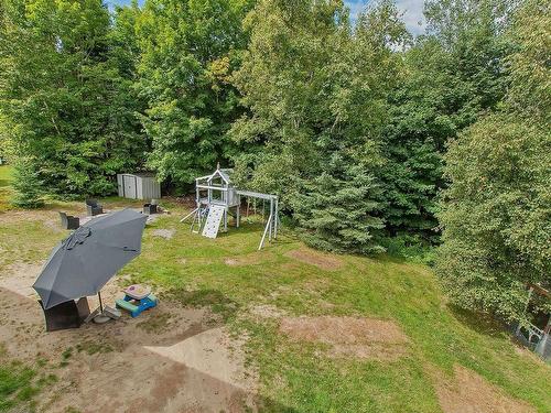 Backyard - 5046 Ch. Lendman, Sainte-Agathe-Des-Monts, QC - Outdoor