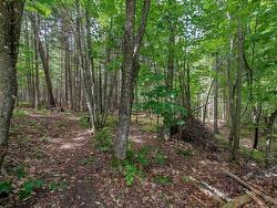 Wooded area - 