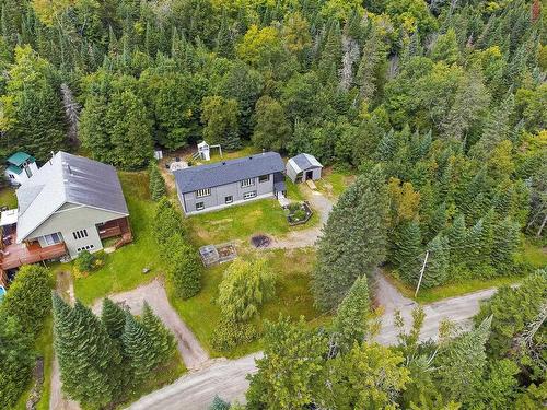 Overall view - 5046 Ch. Lendman, Sainte-Agathe-Des-Monts, QC - Outdoor With View