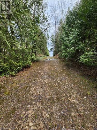 Deeded Access Across the Road - 132B Georgian Drive, Northern Bruce Peninsula, ON 