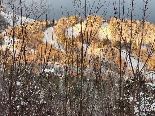 View - 61 Rue Du Hameau, Saint-Côme, QC - Outdoor With View