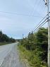 60-62 Hodgewater Line, South River, NL 