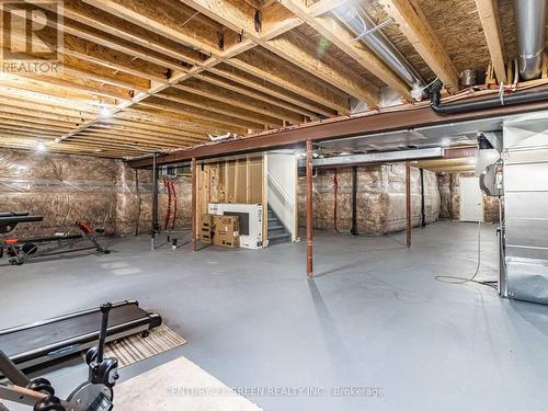 499 Dougall Avenue, Caledon, ON - Indoor Photo Showing Basement