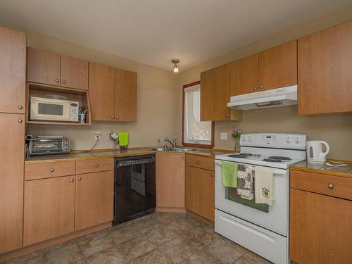 Kitchen - 1211  - 1221 Rue François-Casey, Sherbrooke (Fleurimont), QC - Indoor Photo Showing Kitchen With Double Sink