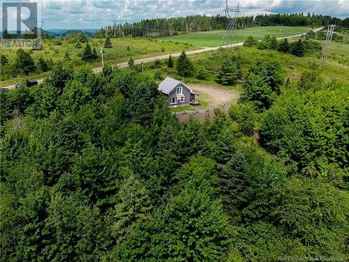 318 Howland Ridge Road, Millville, NB - Outdoor With View