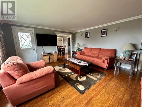 2 Old Settlement Hill, Freshwater Placentia, NL - Indoor Photo Showing Living Room