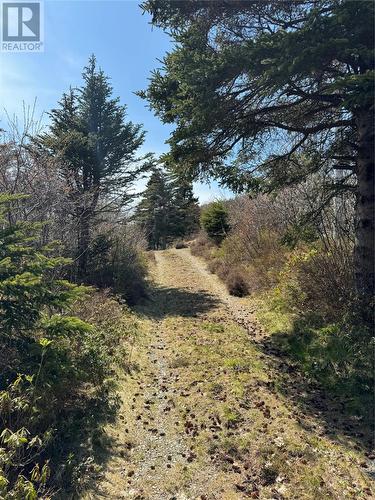 136 Mill Road, Georgetown, NL - Outdoor With View