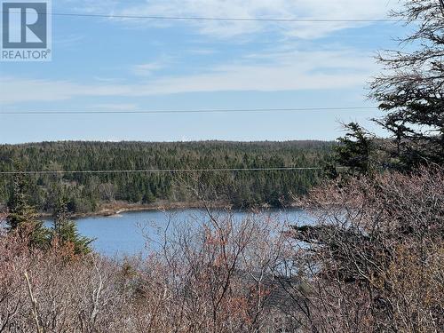 136 Mill Road, Georgetown, NL - Outdoor With View