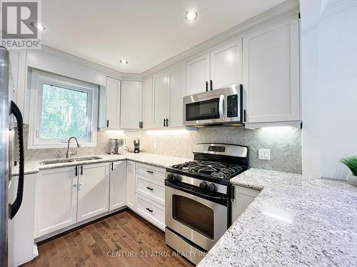 11 Latham Avenue, Toronto, ON - Indoor Photo Showing Kitchen With Double Sink With Upgraded Kitchen