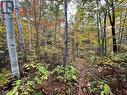 Lot 0 Hanmer Lake Road E, Greater Sudbury, ON 