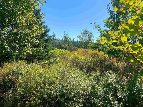 Lot Overton Road, South Chegoggin, NS 