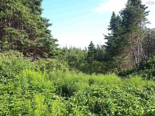 2 Lots Mauger Road, Cap La Ronde, NS 