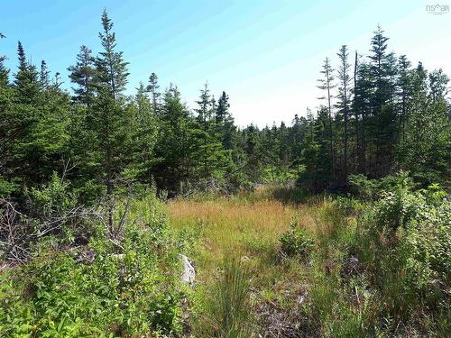 2 Lots Mauger Road, Cap La Ronde, NS 