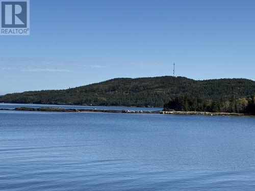 14 Main Street, Noggin Cove, NL - Outdoor With Body Of Water With View