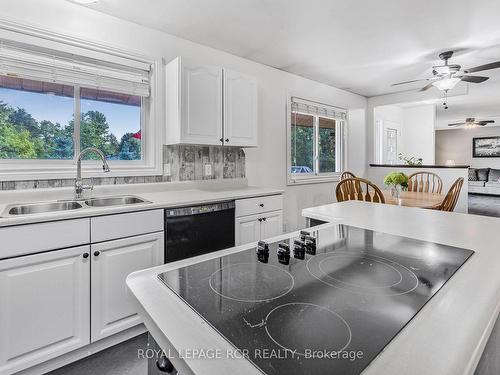 56 Maple Ave, Adjala-Tosorontio, ON - Indoor Photo Showing Kitchen With Double Sink