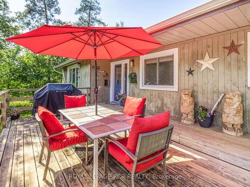 56 Maple Ave, Adjala-Tosorontio, ON - Outdoor With Deck Patio Veranda