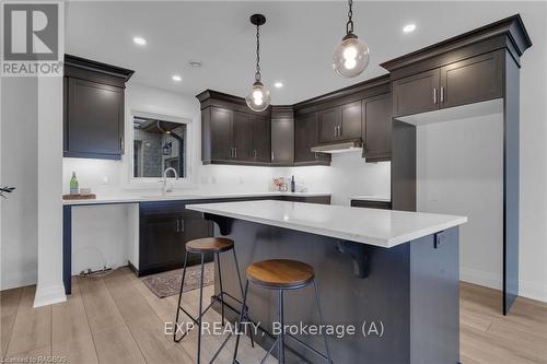 516 Newfoundland Street, Wellington North (Mount Forest), ON - Indoor Photo Showing Kitchen With Upgraded Kitchen