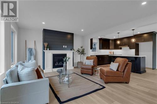 516 Newfoundland Street, Mount Forest, ON - Indoor Photo Showing Living Room With Fireplace